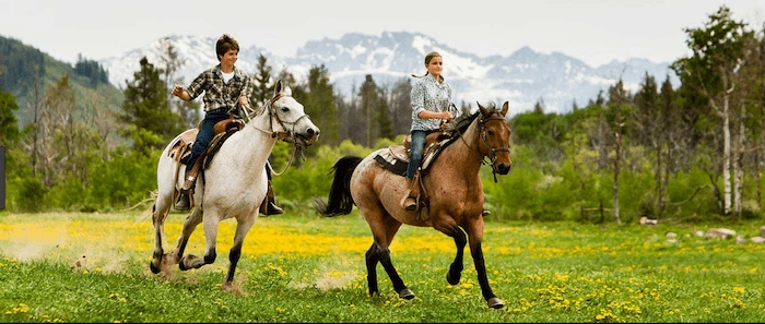 Confident plus-size woman riding Gainsborough a horse through a field with a smile on her face.